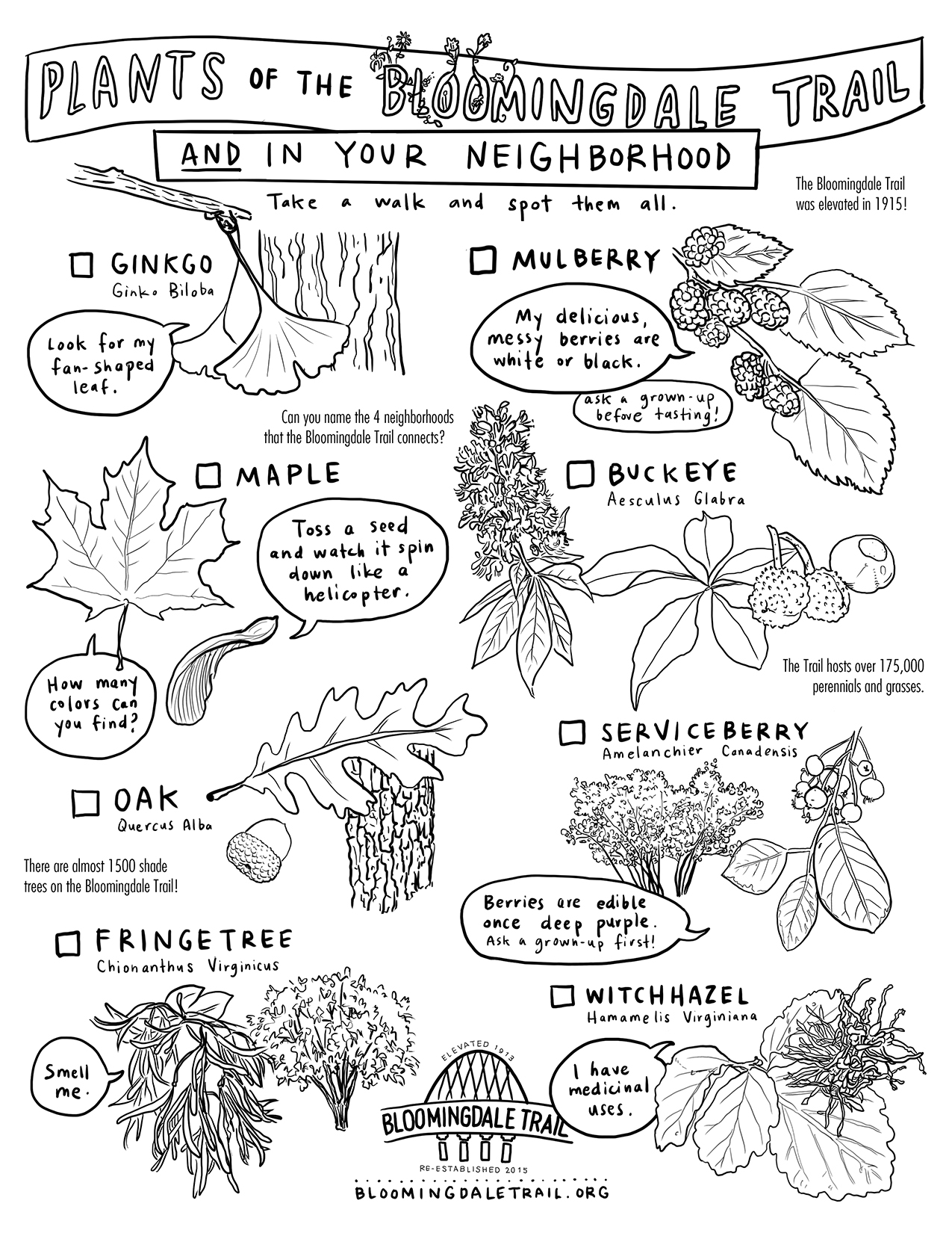 scavenger hunt with drawings of plants